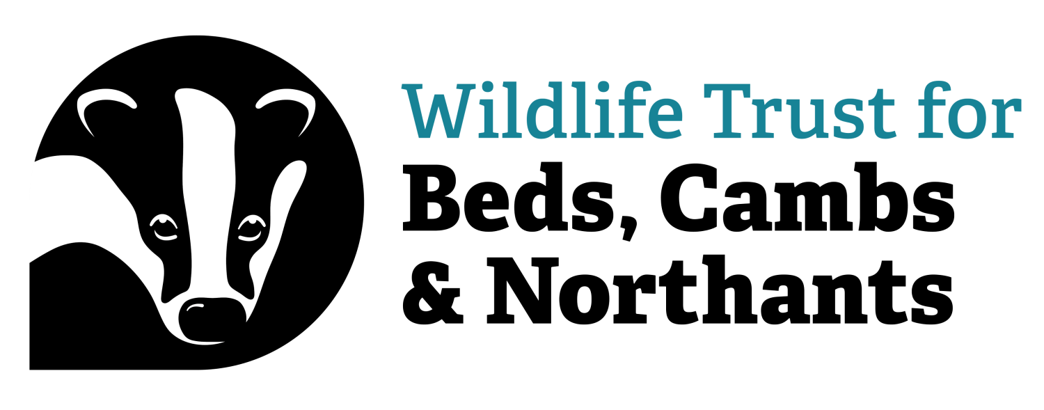 Wildlife Trust BCN logo