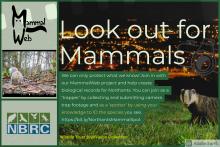 'Look out for...Mammals' Mammal Web Survey