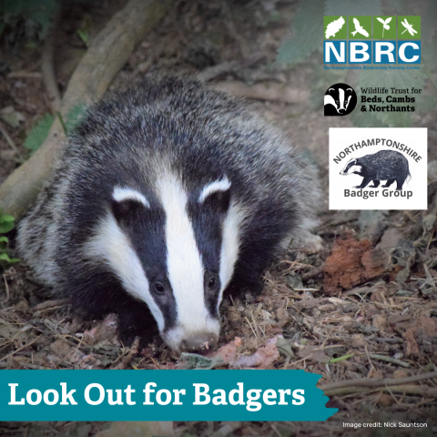Badger image with logos