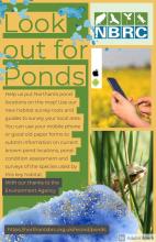 Pond Survey