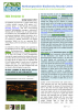Newsletter 21 July 2021 Front Page image